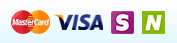 Pay with Visa/MC